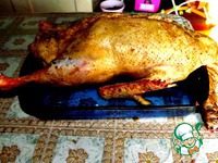 ����, ������������� ��������, ������ � ���� �����������