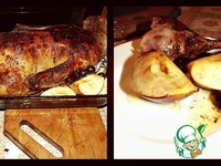 ����, ������������� ��������, ������ � ���� �����������