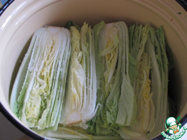 как сделать чимчу из пекинской капусты. как сделать чимчу из пекинской капусты. корейская чимча из пекинской капусты. как сделать чимчу из пекинской капусты. корейская капуста.