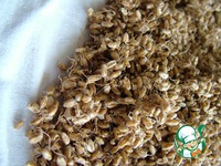 ����� ���� �����������