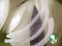 ������� ��� "������" �����������