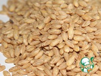 ����������� � �������� ������ �����������