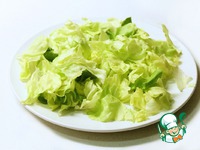 ������ ����� � ������� ����, ����� � ����������� ������� �����������