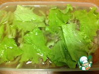 �������� "������� ������" �����������