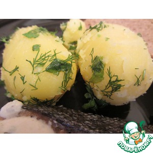 ��������� "�������� ��������"