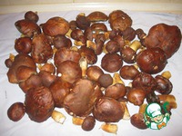 �������� ����� ������������ �����������