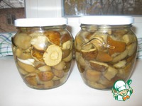 �������� ����� ������������ �����������