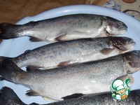 ������, ���������� � ������ �����������