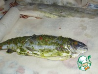 ������, ���������� � ������ �����������