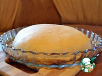 ���� ����� � �������� � ����� �����������