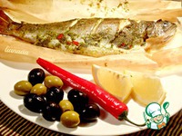 ������, ���������� � ������ �����������