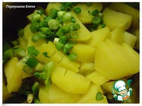 ����� "����� �����" �����������