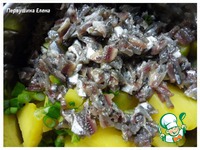 ����� "����� �����" �����������