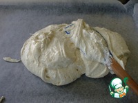 ����������� �������� � �������� � ��������� �����������