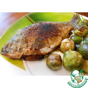 ������, �������� � �������������