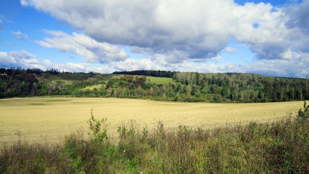 ��� � ��� ����������� ����� ������ ������