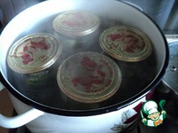 ������ ������������ ������ �����������