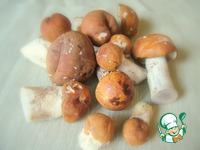 ����� ��� � ������ ������� "������� �����" �����������