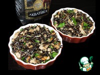 ����-��������� � ����� ����� � ������� �����������