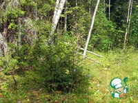 ������� �� ������� �����������