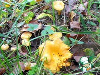 ������� �� ������� �����������