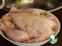 �������� � ����� �����������