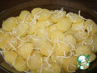 ��������-������������ ��������� � ������ � ����� �����������