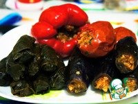 ������������� ����� ��-��������� "�����" �����������