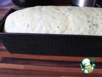 �������� ������� ���� �����������