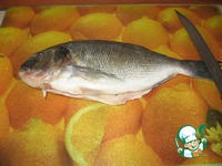 ������ � ������ �� ������� �� ������ �����������