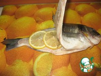 ������ � ������ �� ������� �� ������ �����������