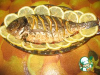 ������ � ������ �� ������� �� ������ �����������