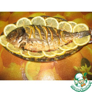 ������ � ������ �� ������� �� ������