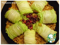 ��������� �� �������� "����������" �����������