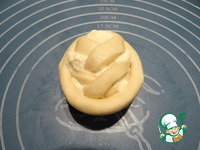 ���������� � ��������� �������� �����������