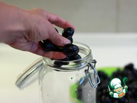 ������������ �������� �����������