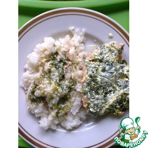 ������� ������ � ��������-������� ��������� �����