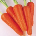 ��������� �������-������, �����, ��� ������