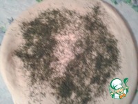 ����� � ������� �����������