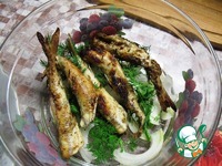 ������� � ����� �������� �����������