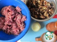 �������� �����������