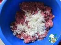 �������� �����������