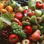 ������ ������, �����