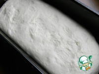 ���� �� ������� �����������