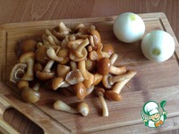 �����-������� �� ������ � �������� � ������� �����������