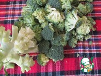 ��������-���� �����������