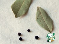 ���� ������� �����������