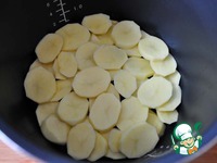 ������������ ��������� "��������" �����������