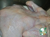 ������ � ��������-������ ����� �����������