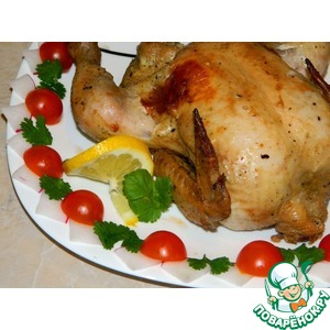 ������ � ��������-������ �����